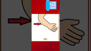 body parts in hindi#shortsvideo #shortsfeed