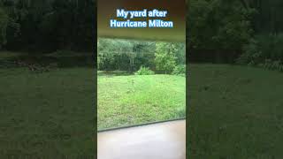 My yard after hurricane Milton 😬 #shorts #milton