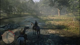 RDR2 Madam Nazar Bugged