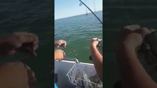 NO LINE!! AL LIMITE CON EL 0,50 PESCA BAHIA DE CADIZ 2017 LIMASURFCASTING