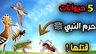 خمس حيوانات يحرم عليك قتلها حذرنا منها الرسول ﷺ ؟ما هي هذه الحيوانات ؟