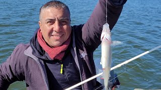 "LAGO LOS MOLINOS" DIFÍCIL PERO SIEMPRE PAGA CON UN HERMOSO PEJERREY DE BUEN PORTE!!!!