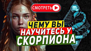 Чему вы научитесь у Скорпиона — знак зодиака