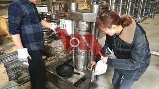 H6YL-230 stainless steel hydraulic oil press machine from HENGYI