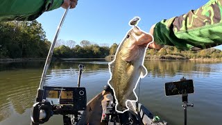 CRUSHING Fall Bass with HANDING Lures | Lipless Crankbait & Swimbait ACTION on a Small Lake