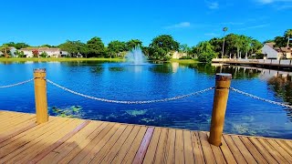 Lakeside Nature Walk On A Sunny Sunday - August 11th, 2024