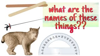 Do You Know - the names of some new things | English vocabulary | Names of things . Top ten things.