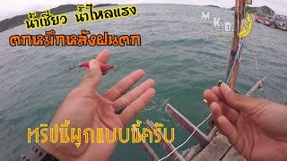 ตกหมึกชายฝั่งEP.3 น้ำเชี่ยวลมแรงเลยใช้วิธีนี้ ถึงได้ผล หลังฝนตก