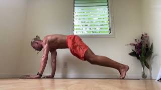 Plank Mountain Climbers