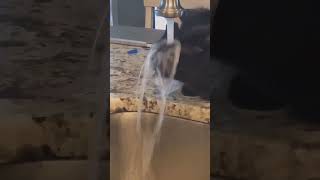 Nefarious Scoundrel Cat Takes A Drink From The Forbidden Fountain #funnycats