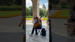 STREET MUSIC IN MUNICH GERMANY | STREET ARTIST MUSICIAN LIVE FOLK MUSIC