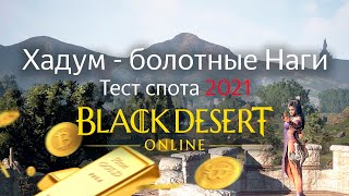 Black Desert Online | Хадум - болотные Наги | Тест спота