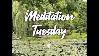 Meditation Tuesday 09-07-2021