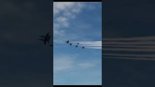 BEAUTIFUL BLUE ANGELS PASS BY!! #dcs #shorts #usa #blueangels #milsim #gaming #airshow