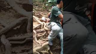 Gagal muncak di pendakian gunung gede pangrango...#part 14 #maindialam #youtubeshorts