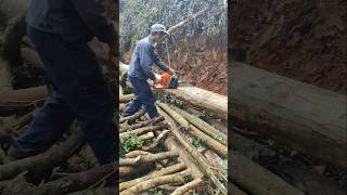 Powerful Chain Saw #machine #satisfyingvideo