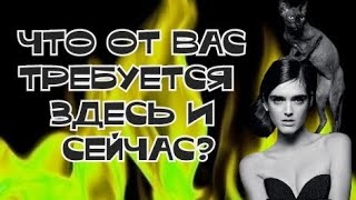 Для чего происходит эта ситуация? Что поможет? что помешает?