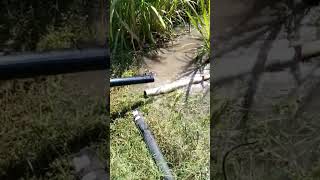 🤢Solar 3hpDcMmotor💯||Solar motor pump discharge||