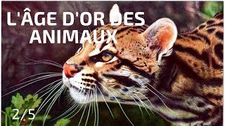 Reproducteurs à tout Prix: l’Âge d’Or des Animaux (2/5)- Documentaire Animalier