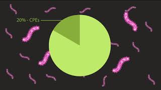 Carbapenemase-Producing Enterobacteriaceae in Korea: Prevalence and Molecular Features (Ann Lab Med)