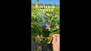 Luigi's #Shorts: Cantine Aperte, May 2024 (Abruzzo - central Italy)