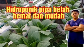 hidroponik pipa belah