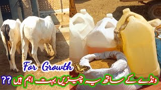 Wandy K Sath Ye Chezeen Bohat Aham Han Growth K leye|