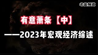 有意萧条【中集】—2023年宏观经济综述