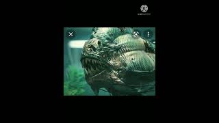 piranha 3d Monster Skillet