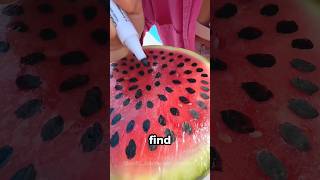 How She Uses a Watermelon for the Most Genius Prank!