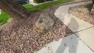 Landscape maintenance POV