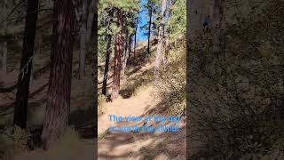 The Trail to the Top of Mineral Ridge Nature Trail (Part 3) #shorts