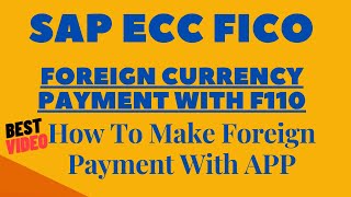 Foreign Currency Payment With Automatic Payment Program I Foreign Payments with F110 I FBZP I