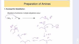 Reactions of Amines and Gabriel Synthesis