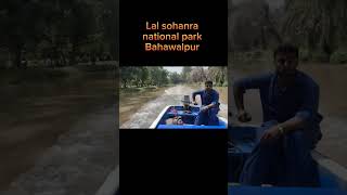 Lal sohanra national park Bahawalpur