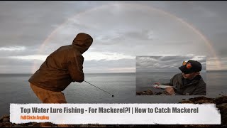 Top Water Lure Fishing - For Mackerel?! | How to Catch Mackerel #mackerelfishing#lurefishing