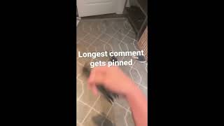 longest comment gets pinned!!