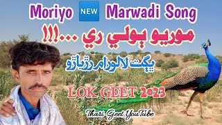 Latest Song Moriyo Marwadi Song 2023 New Songs Dhatki Song Moriyo Thari Lok Geet #tharigeet