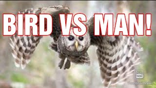 BIRD VS MAN 😂😂