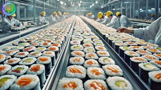 How Millions of Sushi Rolls Are Made in a Factory | Sushi Rolls Factory Process | Process Area