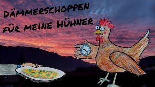 Winter: Hennen fordern Vorverlegung der Fütterungszeit! 🐔 Chickens demand earlier feeding time