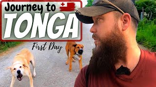 Tonga Day 1: Walk to the store with dogs