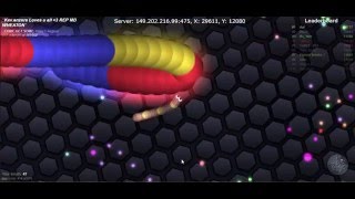 Slither.io (Hytání zástavy srdce) #1