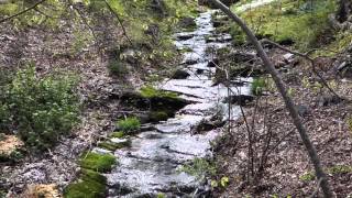 Babbling Brook In Rhode Island