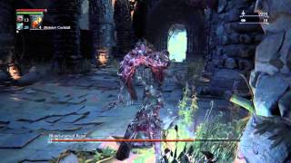 Blood-Starved Beast Bloodborne