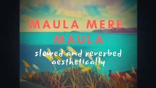 Maula Mere Maula (slowed + reverbed) - Anwar