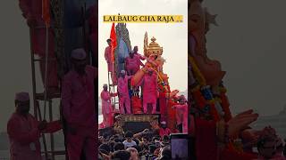 Visarjan of Lalbaugcha Raja | Ganpati Visarjan in Mumbai | Ganesh Utsav 2024 #shorts #rizwanali