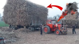 Belarus mtz 50 dangrous stunt|Russi tractor is very powerfully video