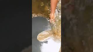 Gold Prospecting in River | Nature | Gold Finding in River | Gold MIning | #shorts #goldprospecting