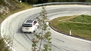 Rally San Martino Di Castrozza 2014_Ps 4 "Gobbera"